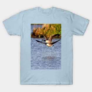 Canada Geese in flight T-Shirt